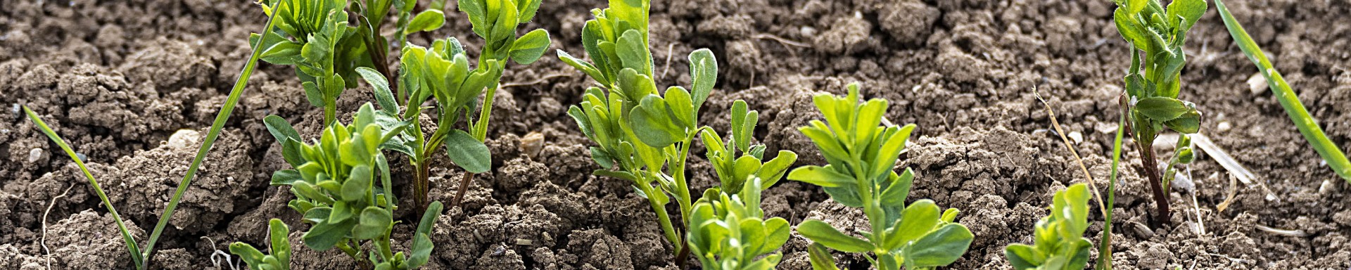 Environmental, Social and Governance Header